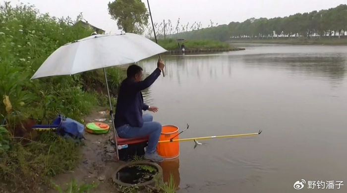 开云-老祖宗传的24字钓鱼谚语，吃透了，春夏秋冬钓啥鱼都不白跑|太阳|钓鱼技巧|水温|雨后|深水区_新浪体育_新浪新闻